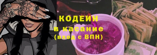 гашик Алексеевка