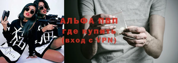 гашик Алексеевка