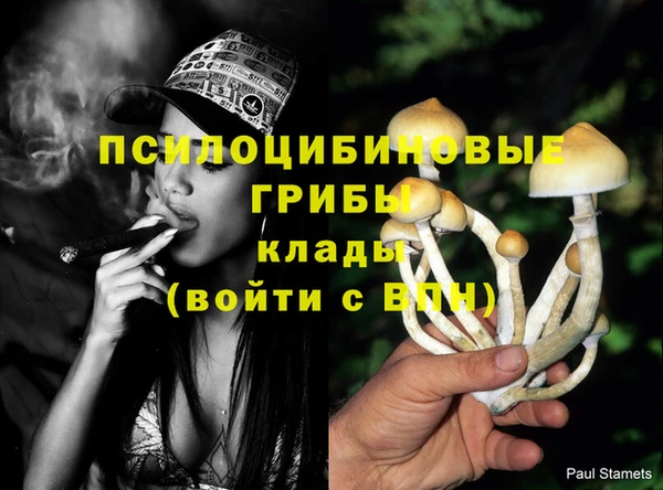 гашик Алексеевка